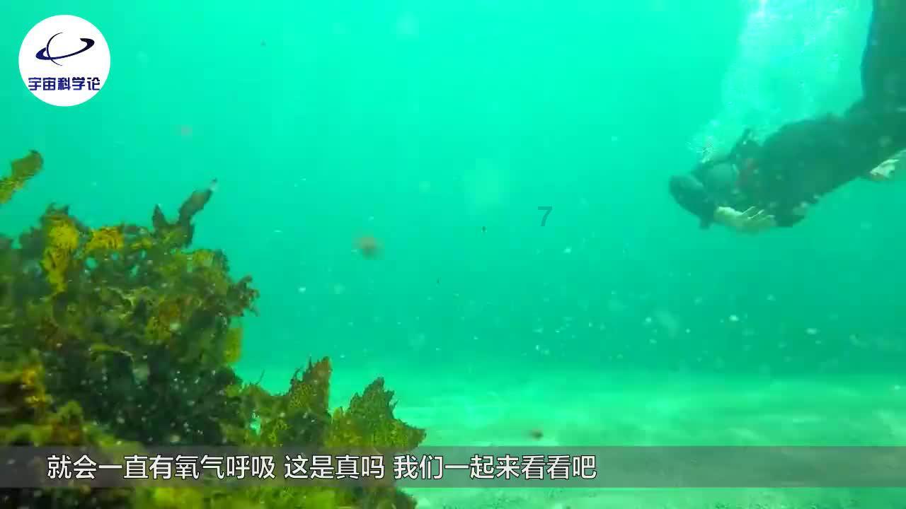 第一面就和我上床的男人能要吗？游戏画面